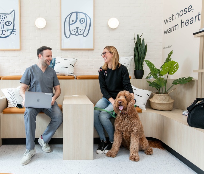 Garden City Animal Hospital & Vet Clinic Bond Vet